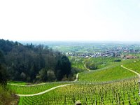 11 Cerisiers en fleurs dans l&#39;Ortenau Mösbach 10 04 2016 115